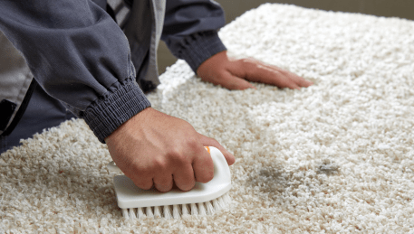 Professional Rug Cleaning Keilor